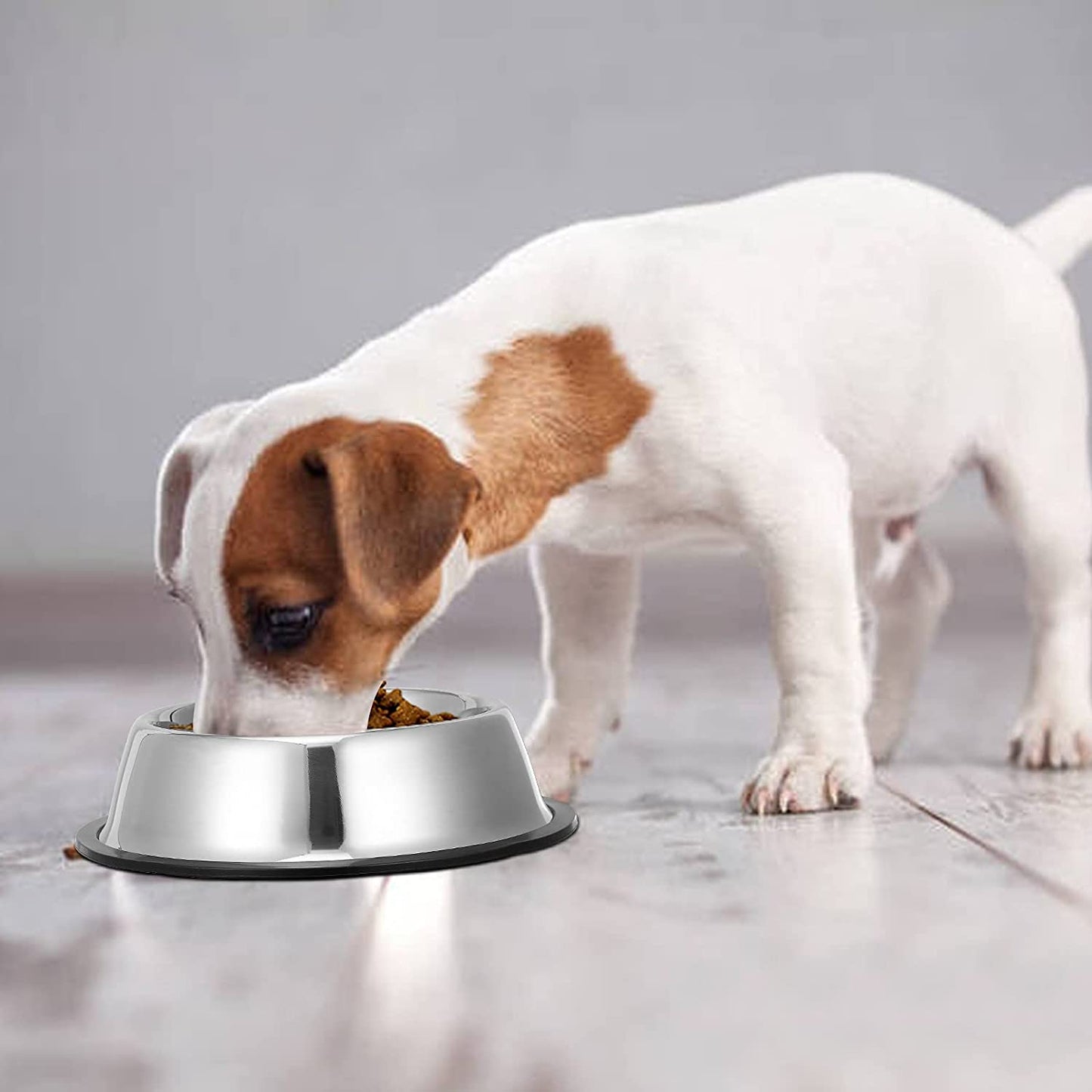 2Packs Stainless Steel Dog Bowl with Anti-Skid Rubber Base for Dog Puppy Cat and Kitten