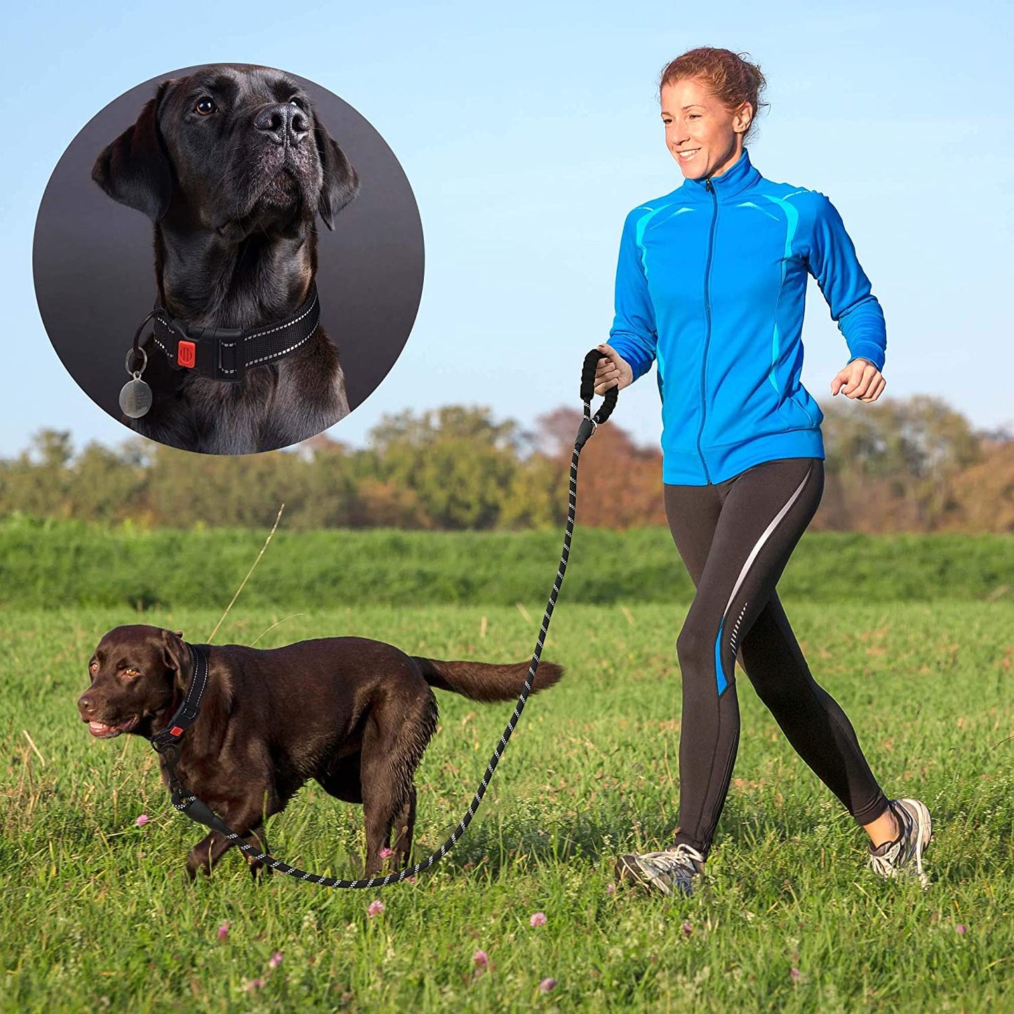 Dog Leash with Comfortable Padded Handle Dog Collar with Leash 5 ft Long for Small Medium Large Dogs