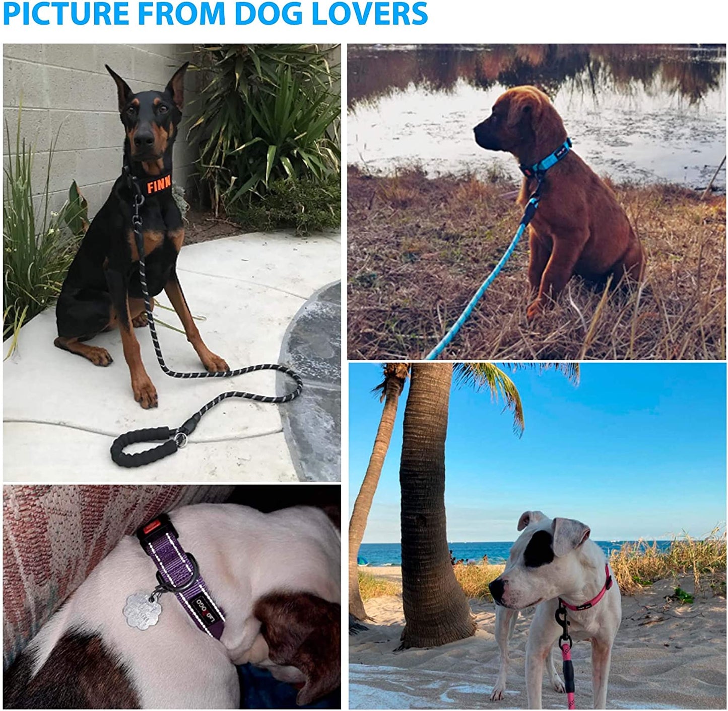 Dog Leash with Comfortable Padded Handle Dog Collar with Leash 5 ft Long for Small Medium Large Dogs