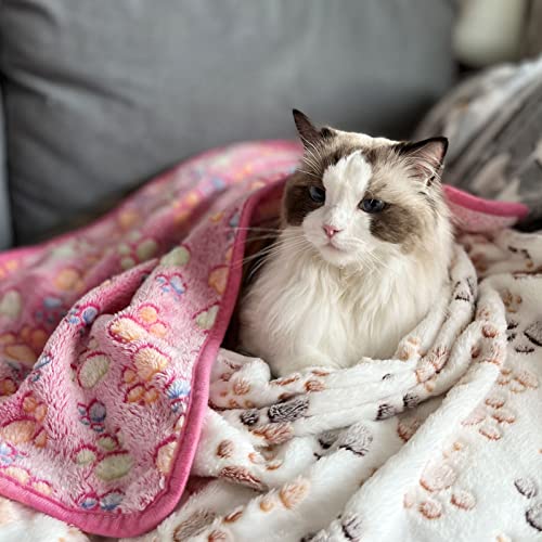 3 Puppy Blankets Super Soft Warm Sleep Mat Paw Print Blanket Pet Blanket Flannel Throw for Dogs Puppy Cat