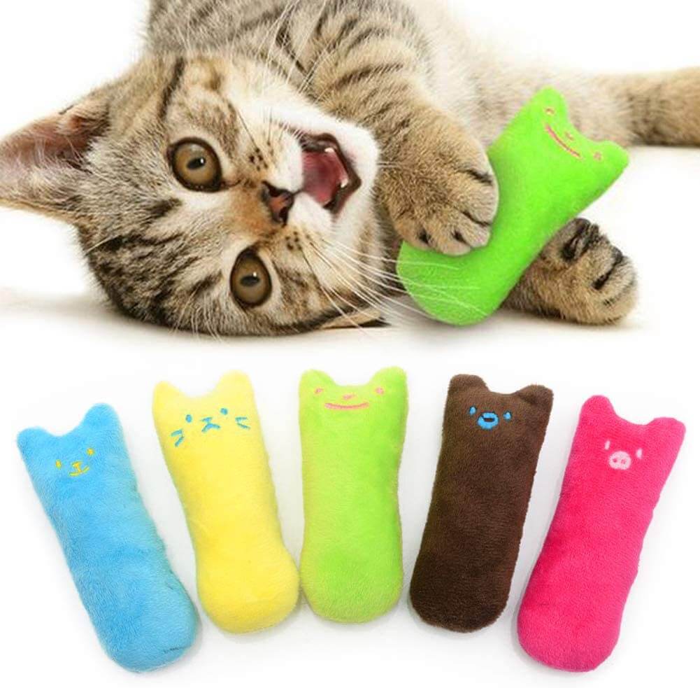 Cat Catnip Toys/5Pcs