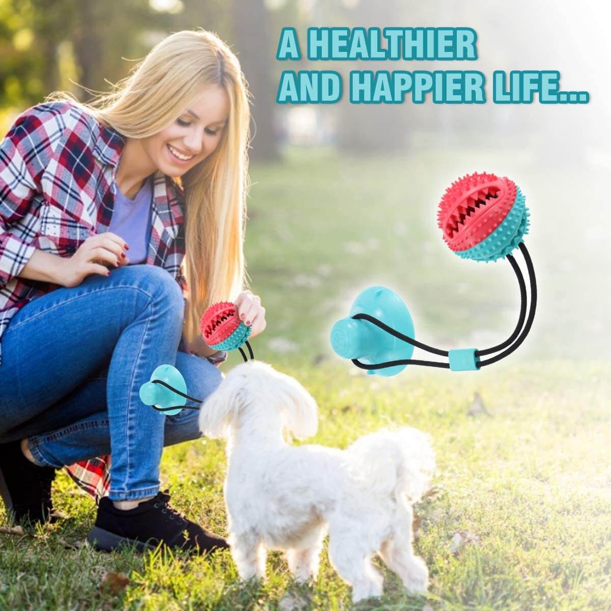 Dog Chew Toys/Applications 4