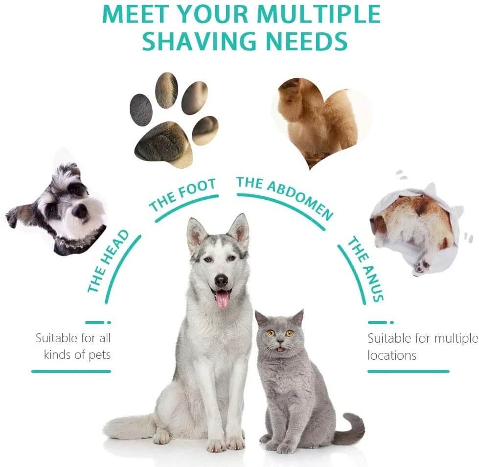 Dog Clippers/Applications 2