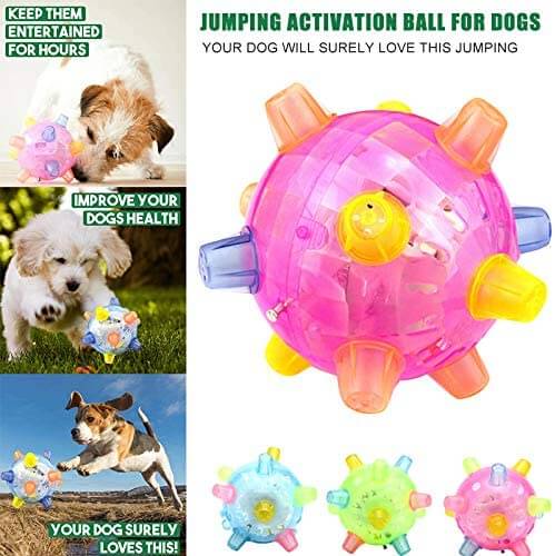 Jumping Activation Ball for Dogs/Applications 2