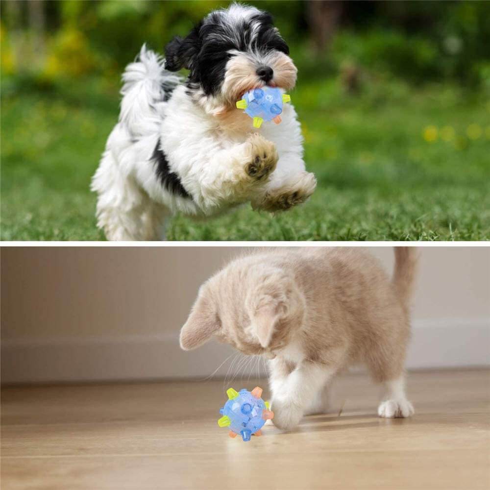 Jumping Activation Ball for Dogs/Applications 4