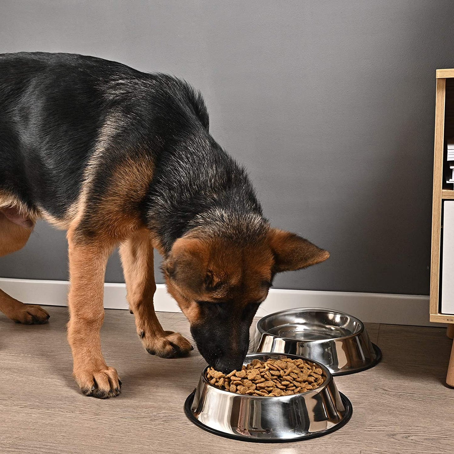 2Packs Stainless Steel Dog Bowl with Anti-Skid Rubber Base for Dog Puppy Cat and Kitten