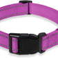 Dog Collar with Buckle Adjustable Safety Nylon Collars for Small Medium Large Dogs