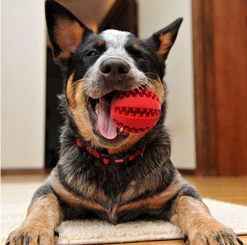 Dog Tooth Cleaning Chew Toy Dog Ball