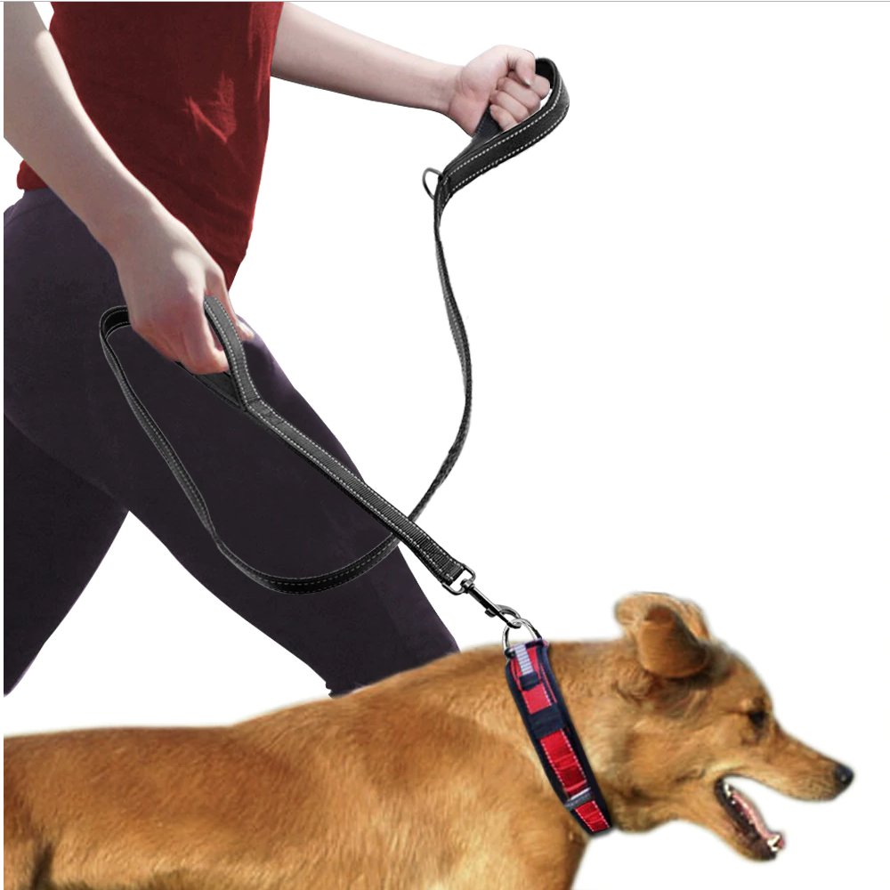 Double Handle Heavy Duty Dog Leash for Control Safety Training