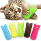 Cat Catnip Toys/5Pcs