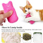 Cat Catnip Toys/Details 2