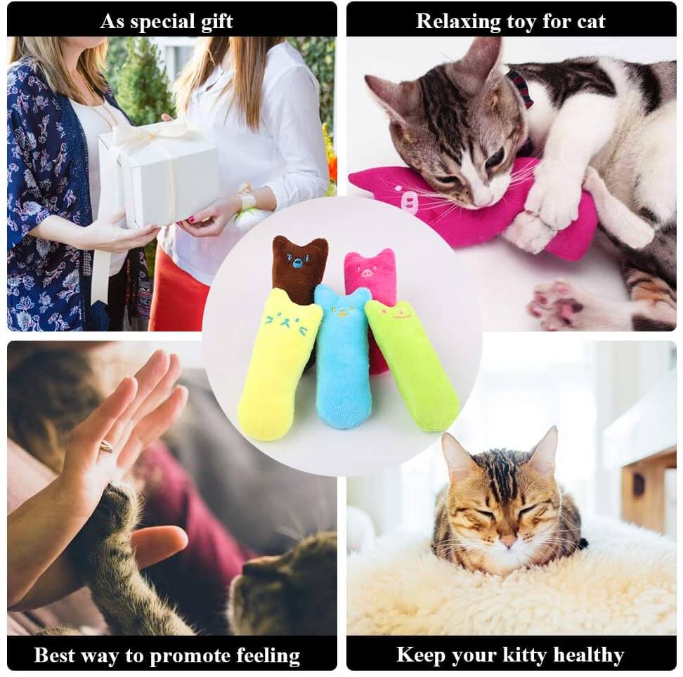 Cat Catnip Toys/Applications 3