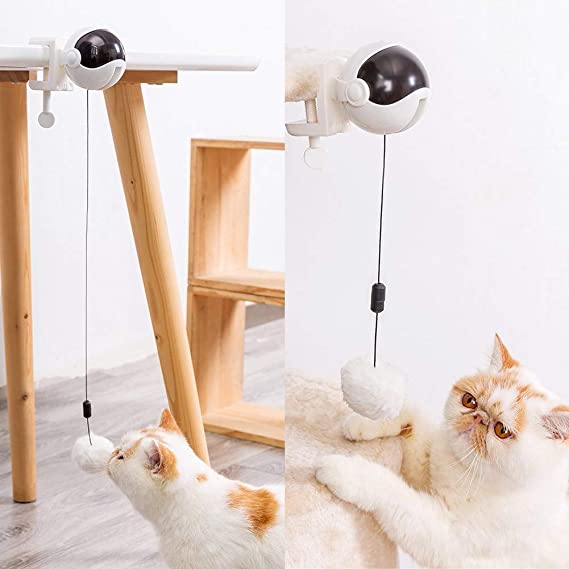 Cat toys, Electric Flutter Rotating Ball for Cat, 360°Rolling Interactive Cat Feather Toy - vacatime