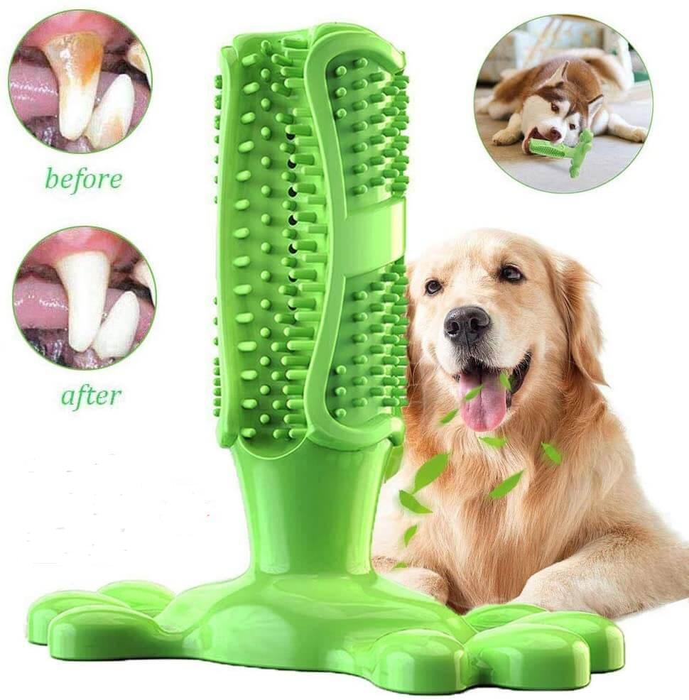 Dog Toothbrush Stick/Green