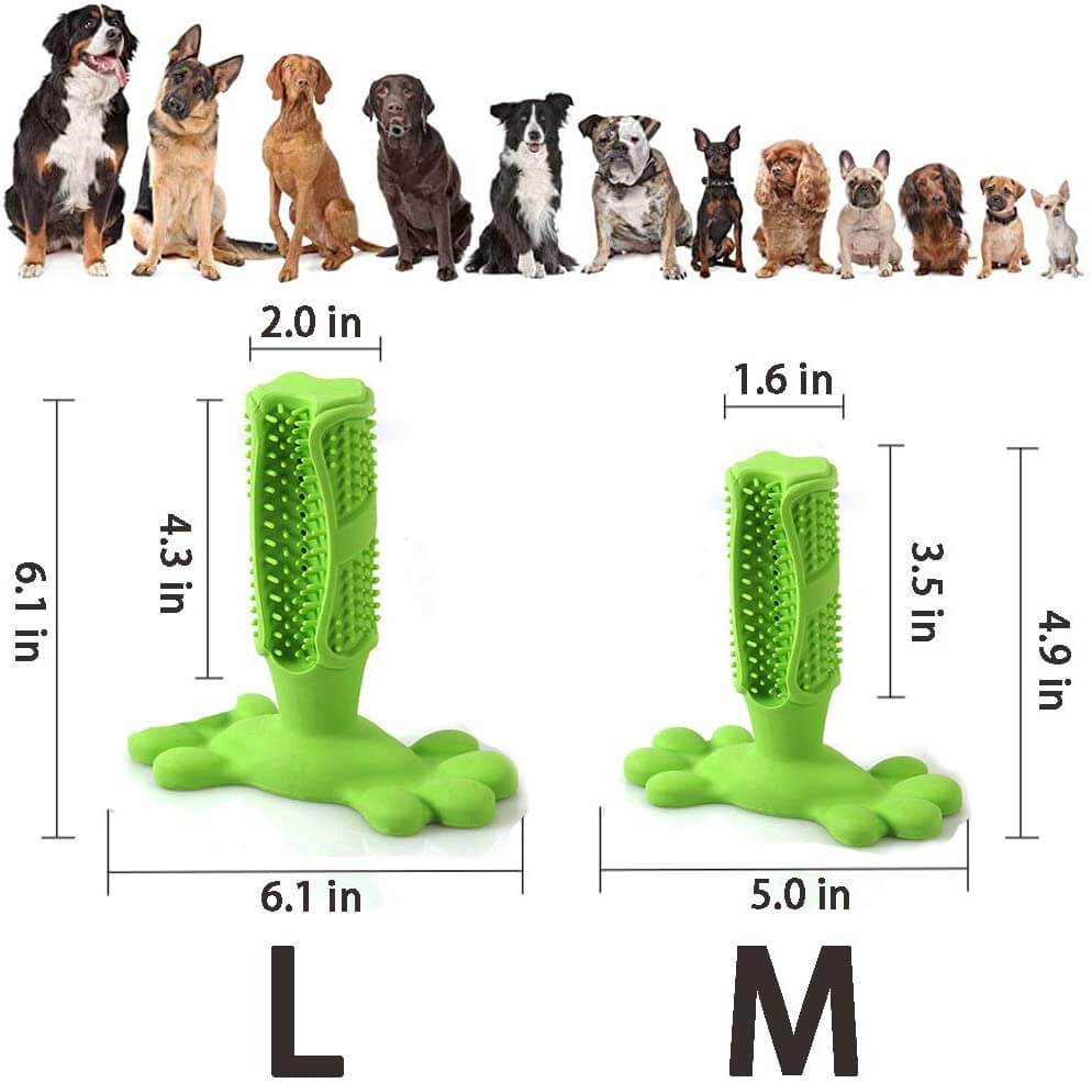 Dog Toothbrush Stick/Dimensions