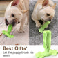 Dog Toothbrush Stick/Applications