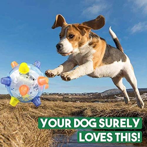 Jumping Activation Ball for Dogs/Applications
