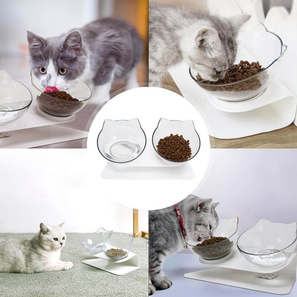 Cat Bowls Double Cat Dog Pet Food Water Bowls 15°Tilted Raised - VACATIME