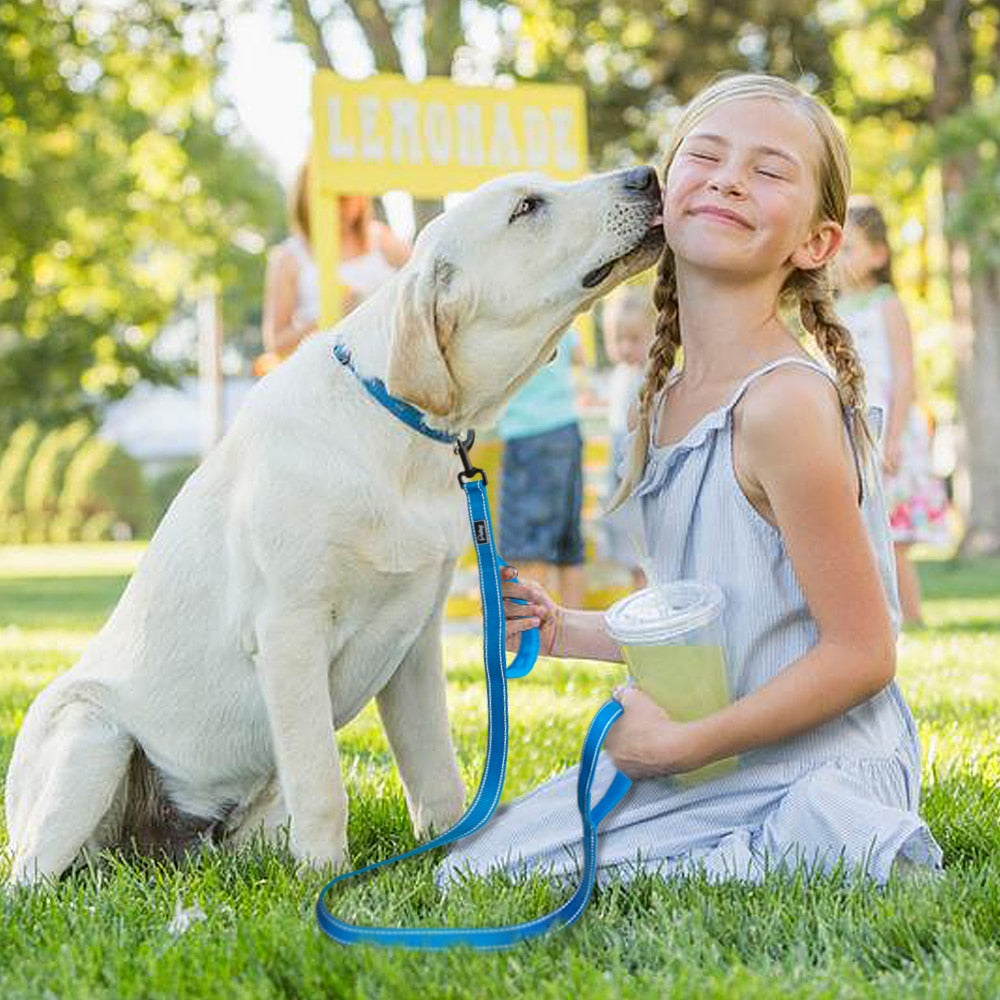 Double Handle Heavy Duty Dog Leash for Control Safety Training