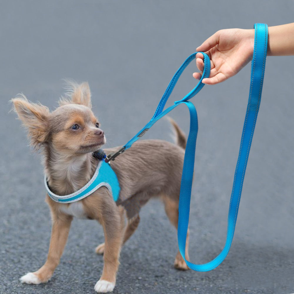 Double Handle Heavy Duty Dog Leash for Control Safety Training